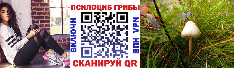 Галлюциногенные грибы прущие грибы Медынь